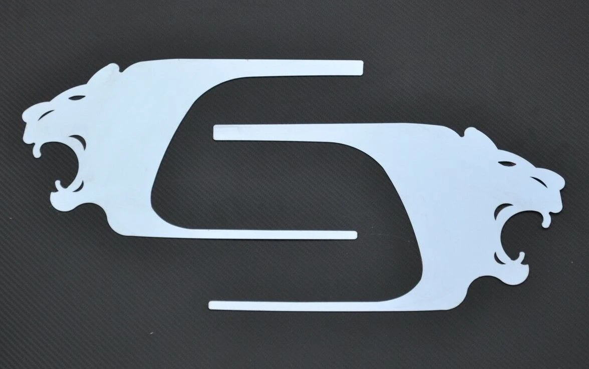 Дръжка на врата за RENAULT PREMIUM, огледална неръждавейка